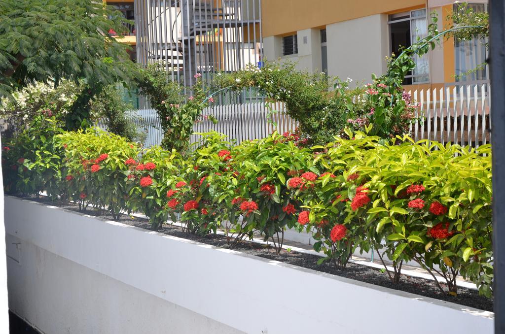 Alsol Las Orquideas Playa del Ingles  Exterior photo